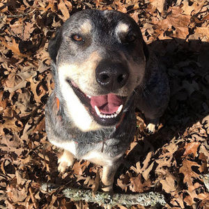 Meet your Posher, Kendra